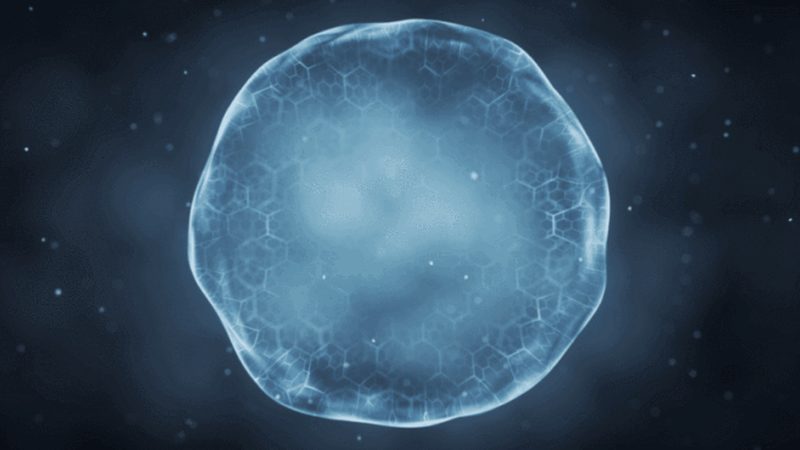 酶含量测定方法原理揭秘：精准量化，助力科研**