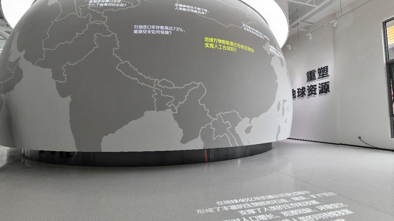 脂肪酶：揭秘其生产与选择的关键因素