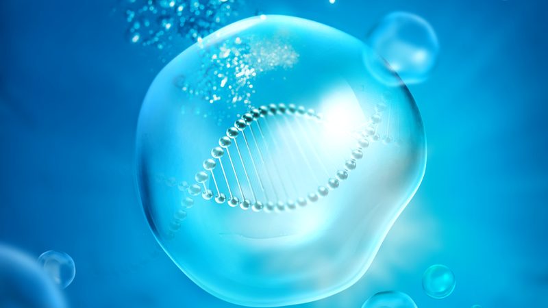 离心管防爆尺寸规格表：生物实验中的安全守则**