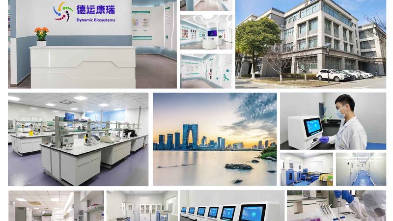 全外显子组测序与单基因检测：准确率对比解析**