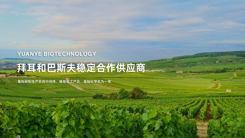 一次性生物反应器：揭秘其背后的技术奥秘与应用价值