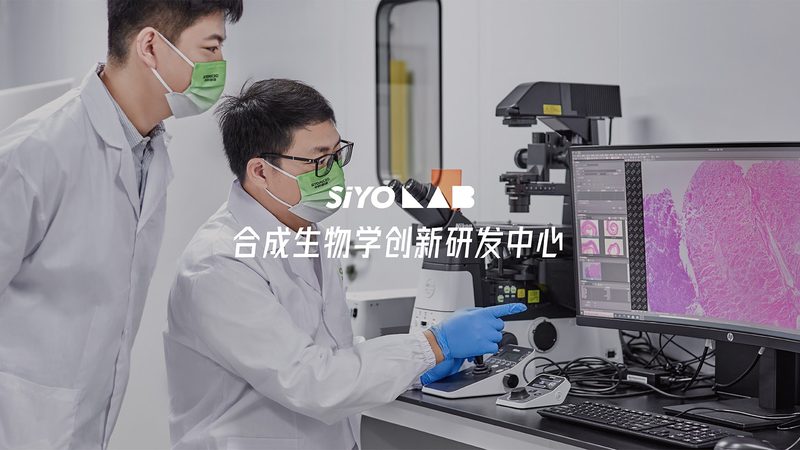 离心管：实验室里的“隐形英雄