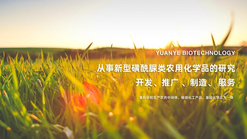 揭秘医药研发：如何评估生物科技公司的可靠性