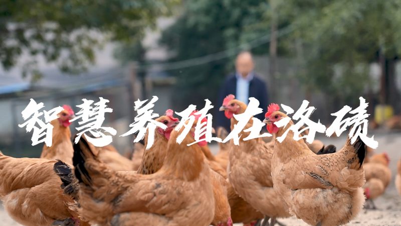 离心管：实验室中的“百变金刚”，揭秘其多样类型与用途