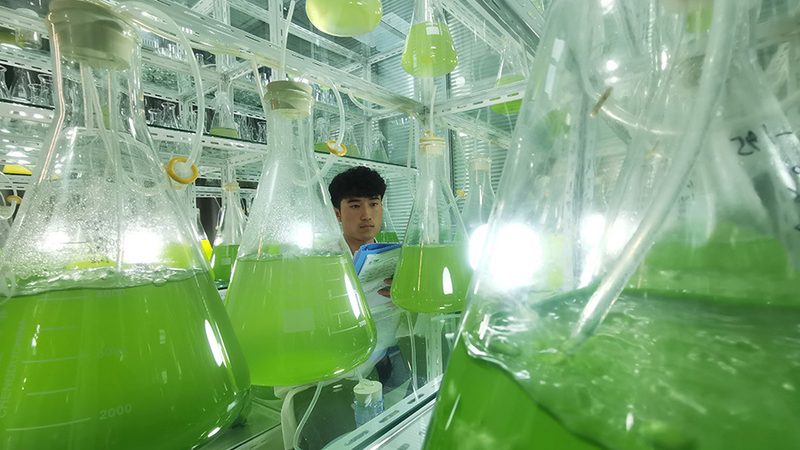 CRO代理加盟：揭秘医药研发背后的专业支持**